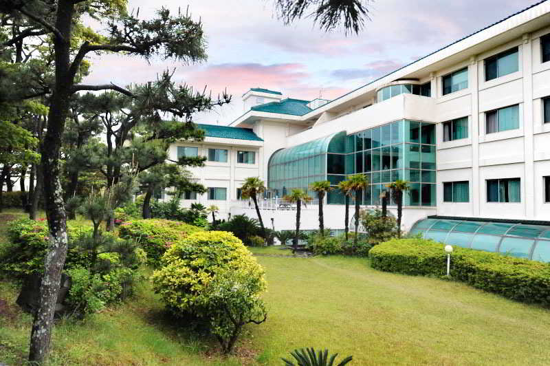 Bloom Hotel 3