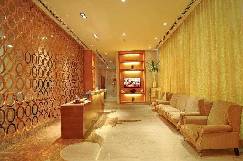 Radisson Blu Paschim Vihar 2