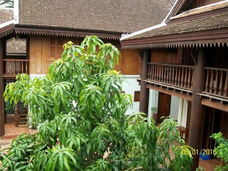 Villa Pumalin 4
