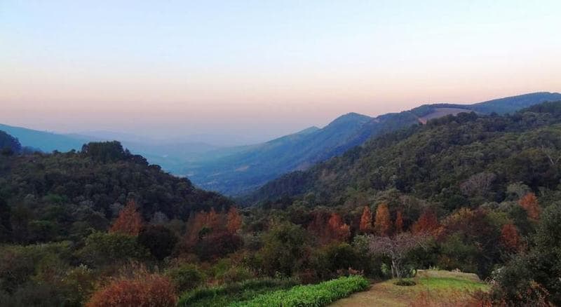 Magoebaskloof 3