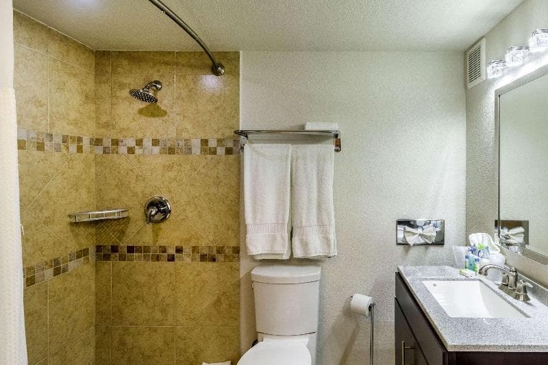 Clarion Inn Near McAllen Airport 3