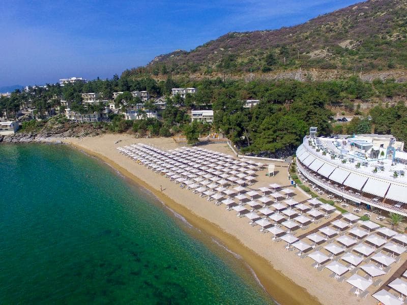 Tosca Beach Hotel photo 1