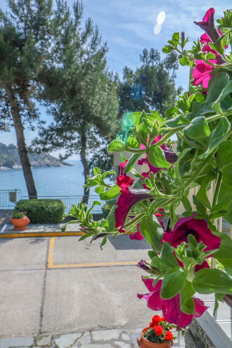 Tosca Beach Hotel 5