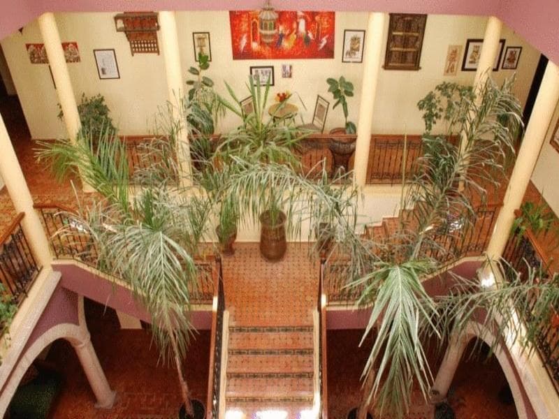 Riad Zahra 3
