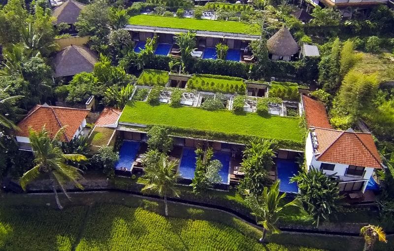 Ubud Green photo 1