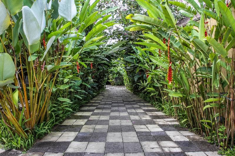 Ubud Green 2