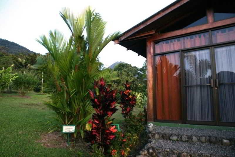 GreenLagoon Wellbeing Resort photo 1