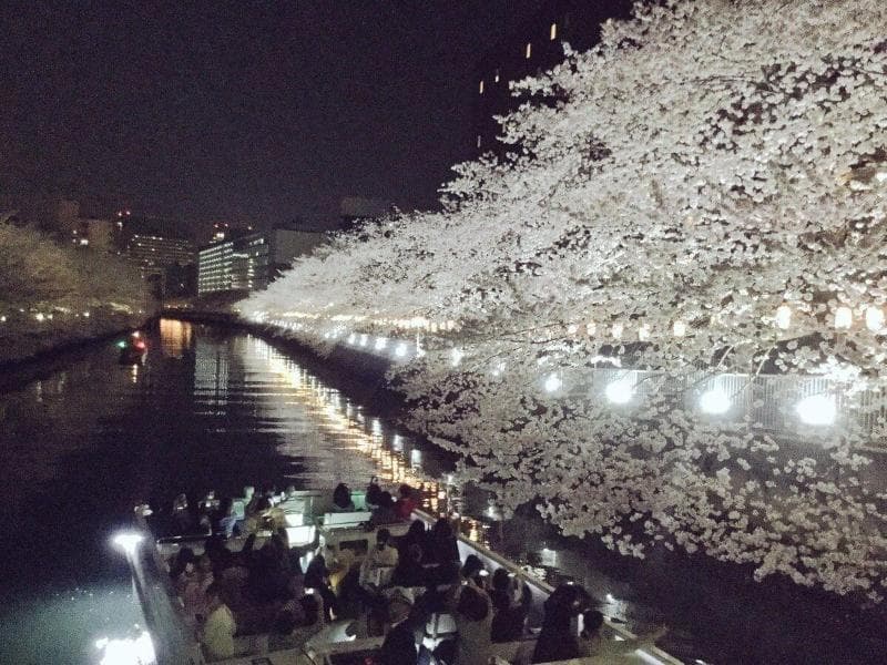Day Nice Hotel Tokyo photo 1
