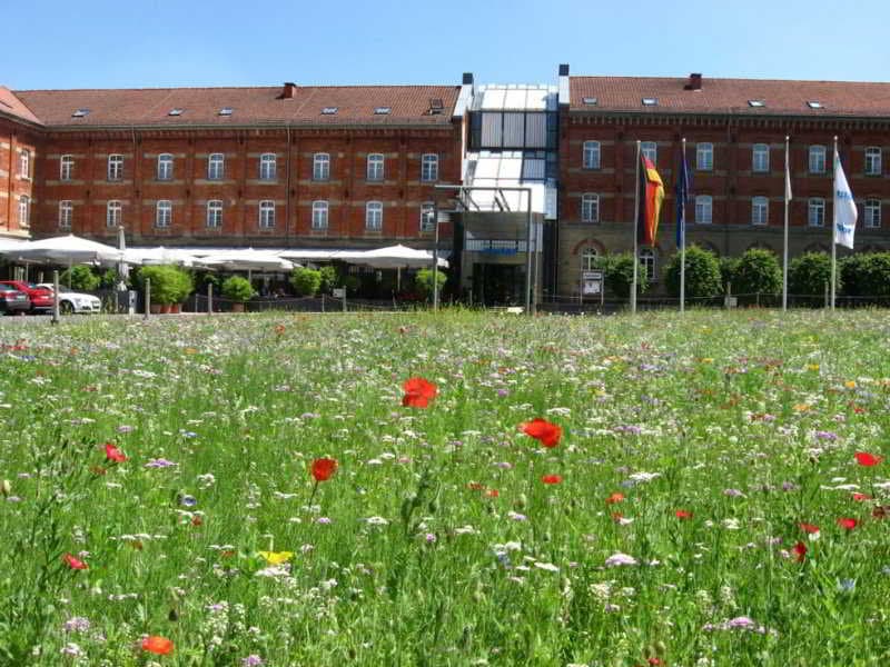 nestor Hotel Ludwigsburg 2