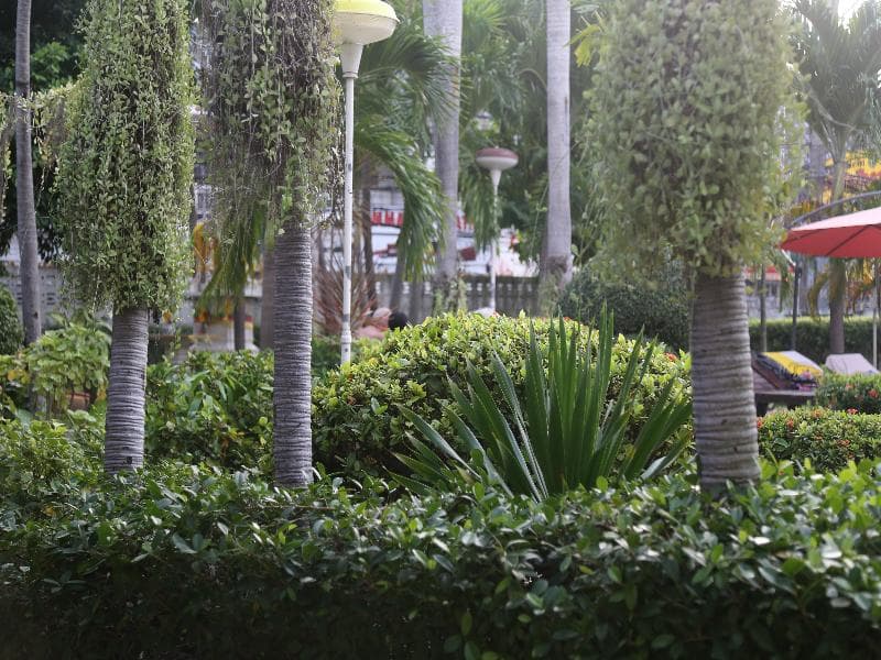 Romeo Palace 3