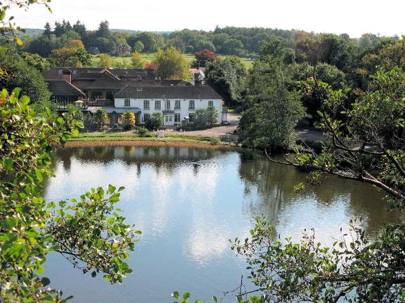 Frensham Pond Country House Hotel & Spa 2