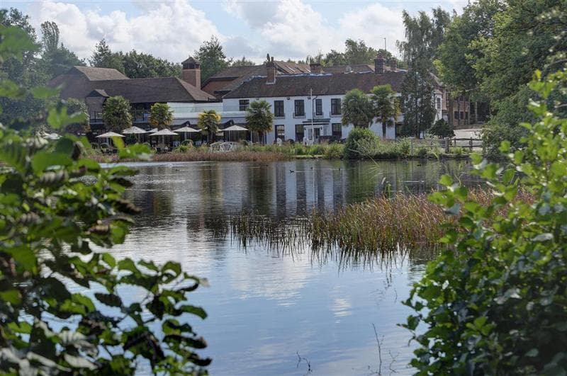 Frensham Pond Country House Hotel & Spa 3