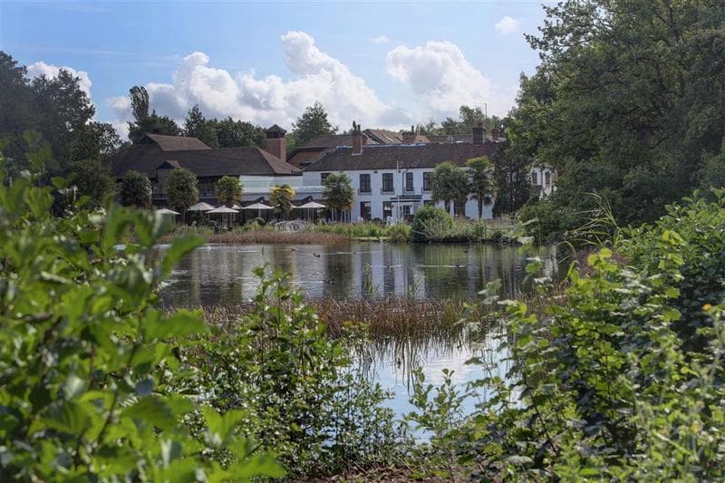 Frensham Pond Country House Hotel & Spa 4