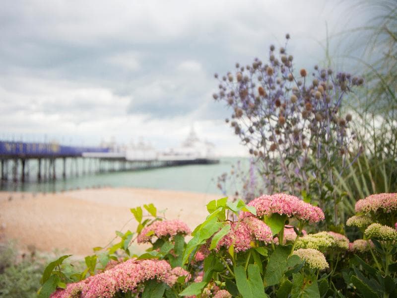 Best Western Plus Citrus Hotel Eastbourne 5