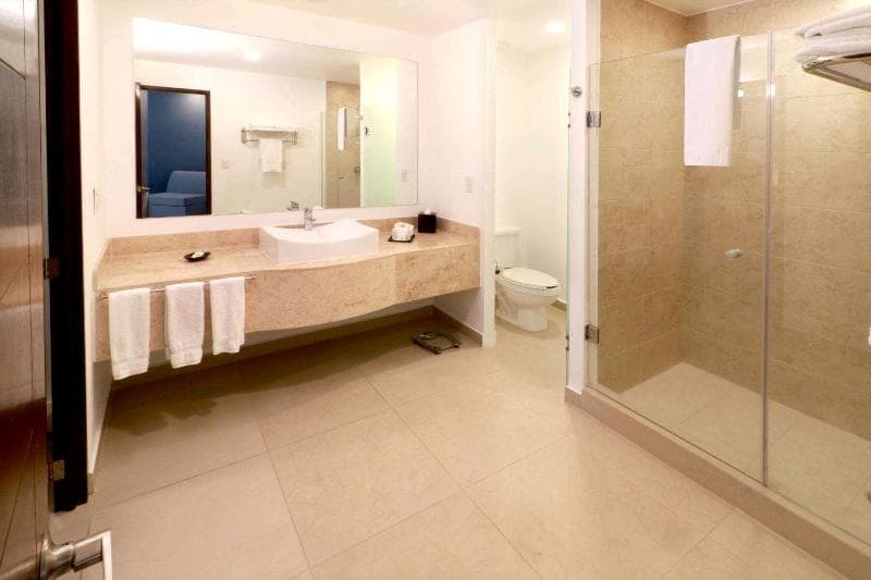 Wyndham Garden Guadalajara Acueducto 2