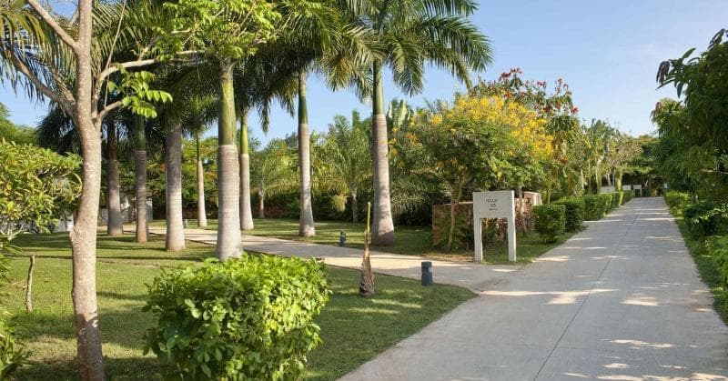Melia Zanzibar 5