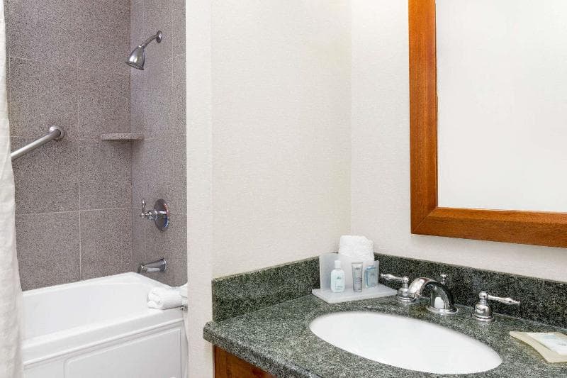 Wyndham Garden Baronne Plaza New Orleans 5