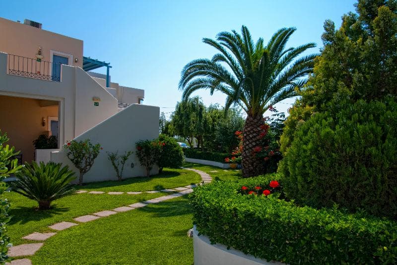 Papadakis Apartments 5