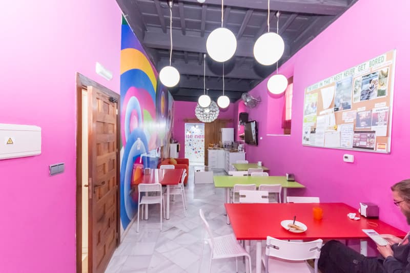 White Nest Hostel photo 1