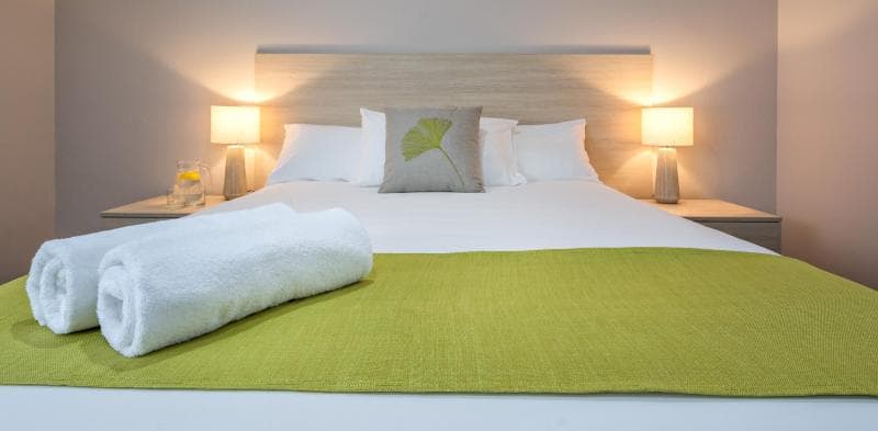 Ace Accommodation Albany main