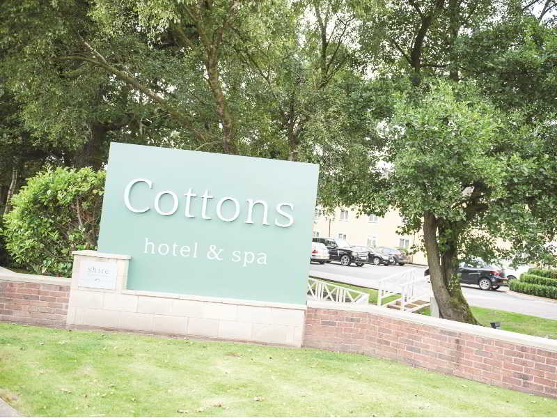 Cottons photo 1