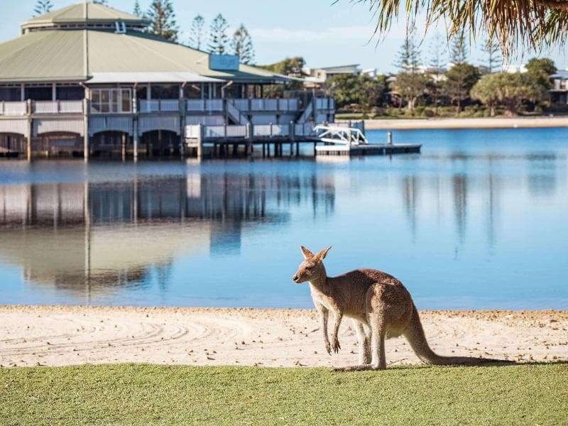 Novotel Sunshine Coast Resort 2