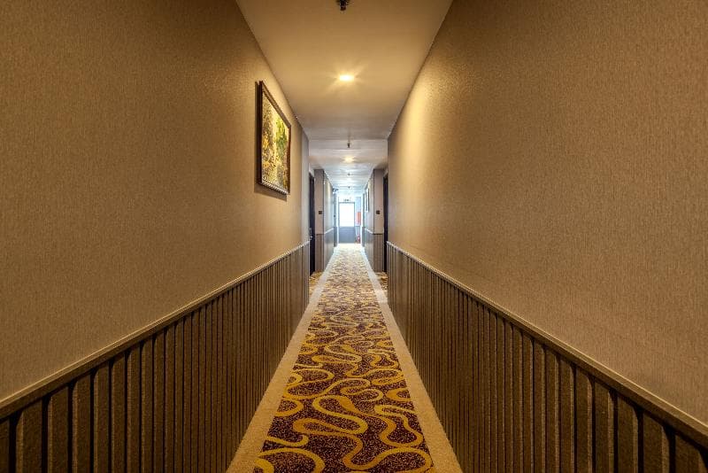 Sen Viet Hotel photo 1