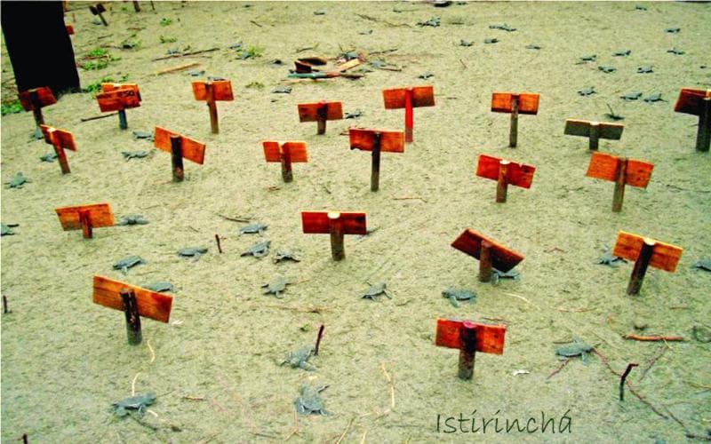 Istirincha 4