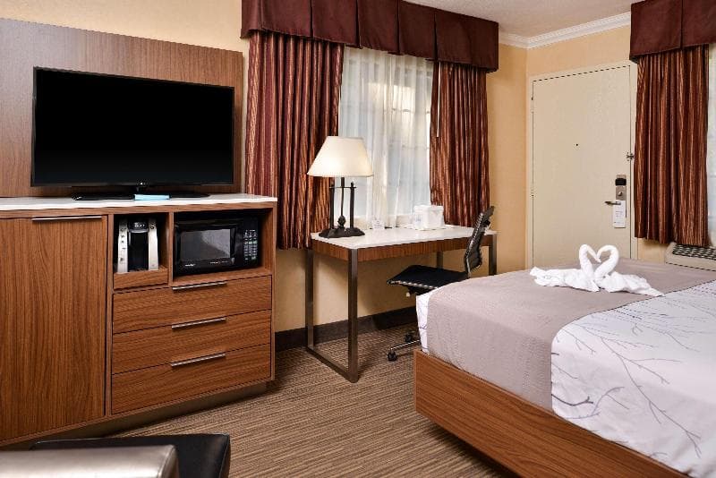 Best Western Hollywood Plaza Inn -Hollywood Walk of Fame 4