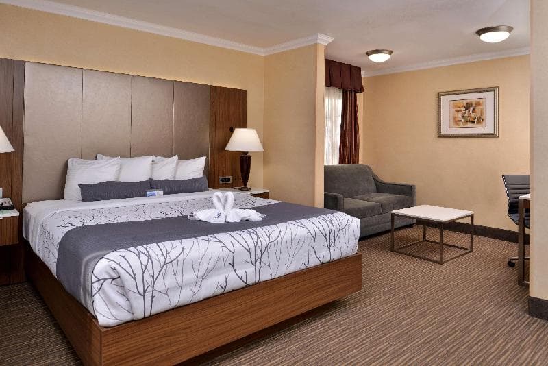 Best Western Hollywood Plaza Inn -Hollywood Walk of Fame 5