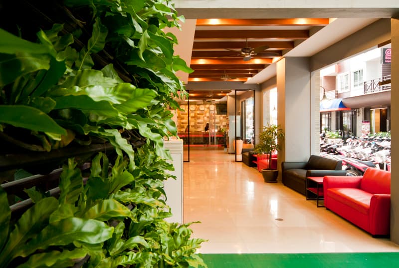 PJ Patong Resortel 5