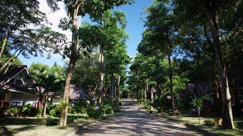 Lanta Manda photo 1