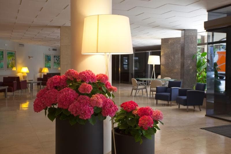 Be Live Experience Costa Palma (Adults only) 4