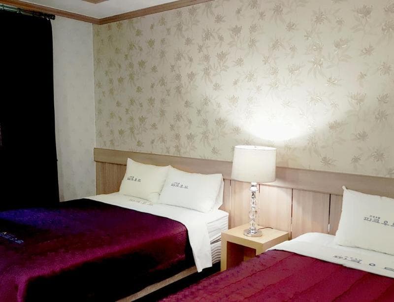 Hotel Parkwood Incheon Airport (Adults only) 3