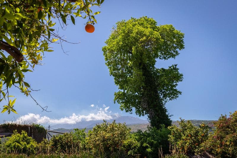 La Terra Dei Sogni 3