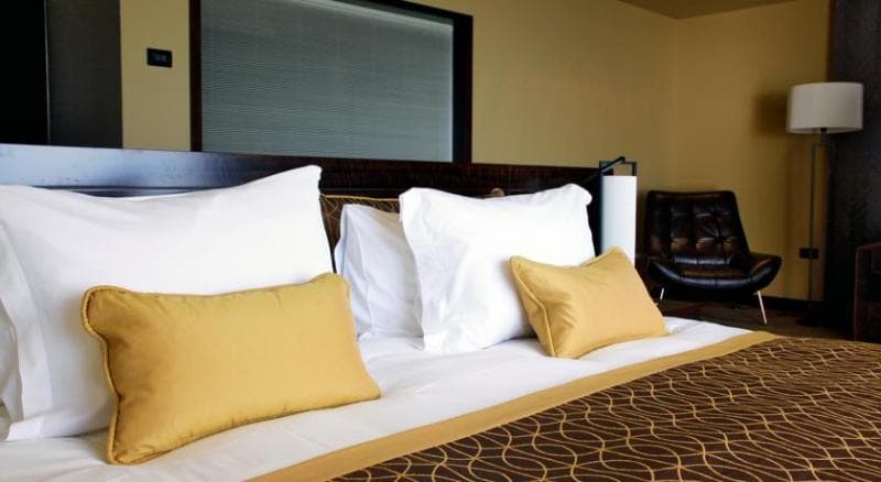 The Dan Carmel Hotel photo 1