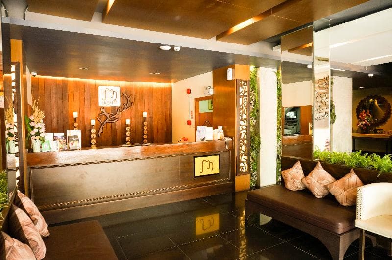 M Chiangmai 4