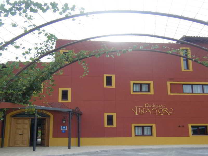 Hotel Château Viñasoro main