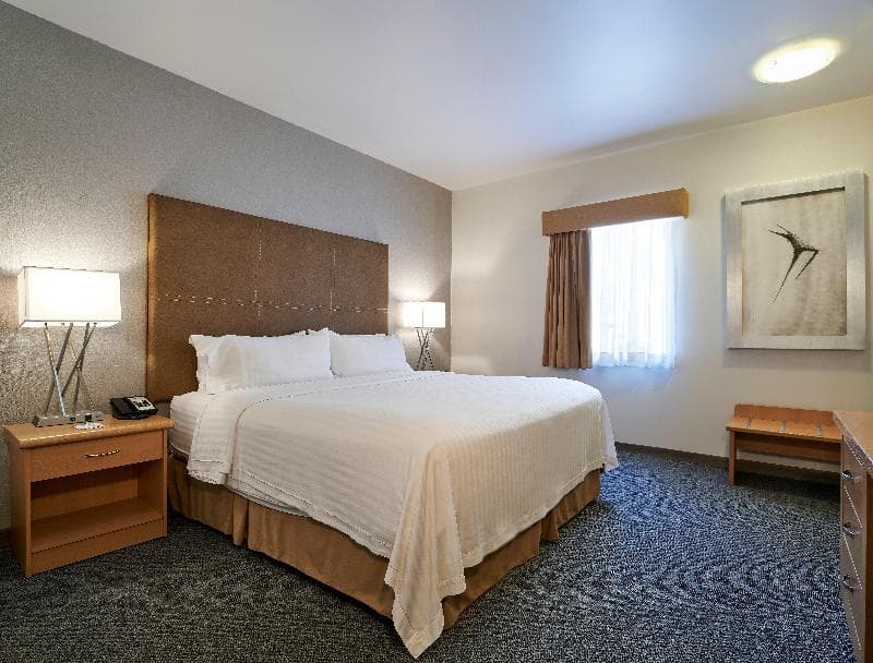 Holiday Inn Hotel & Suites Chihuahua 5