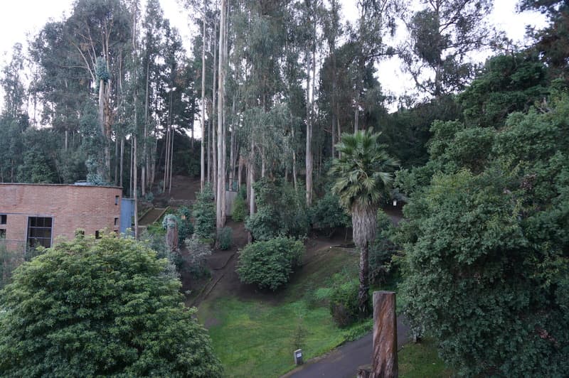 Hotel Bosque de Renaca (Ex-Conference Town) 4