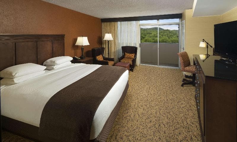 The Park Vista A Doubletree By Hilton Hotel Gatlinburg 5