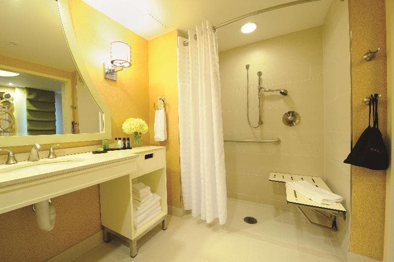 Embassy Suites by Hilton Houston Downtown 5