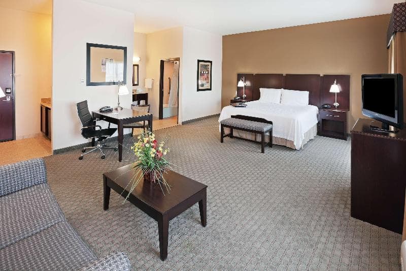 Hampton Inn & Suites Dumas 5