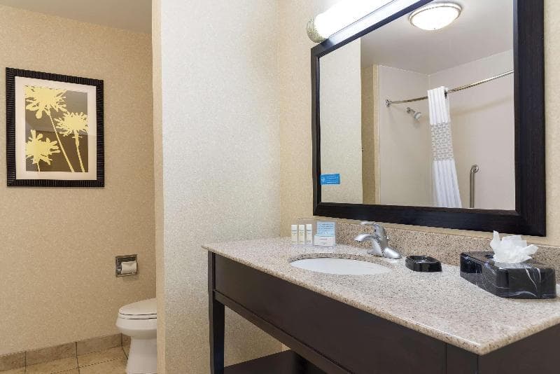 Hampton Inn Detroit/Roseville 5