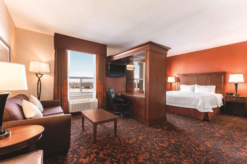 Hampton Inn by Hilton Edmonton South 5