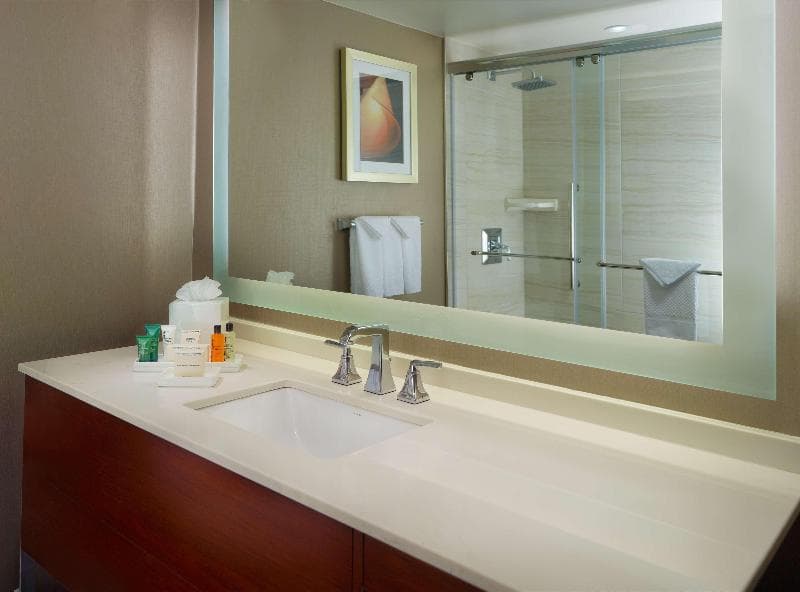 Hilton Atlanta Northeast 3