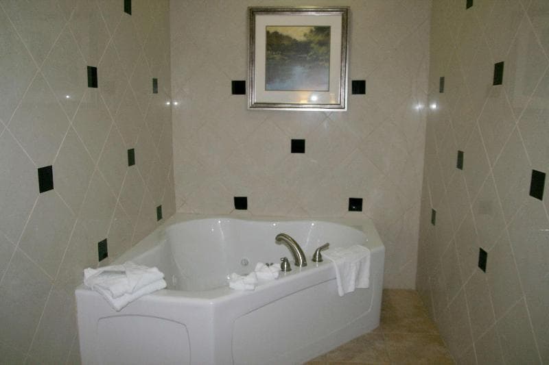 Hampton Inn Alpine 2