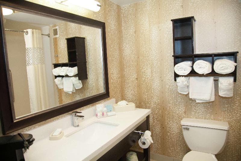 Hampton Inn & Suites Alpharetta 3
