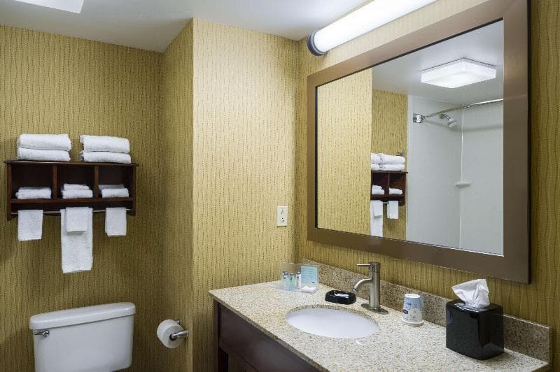 Hampton Inn Danville 5