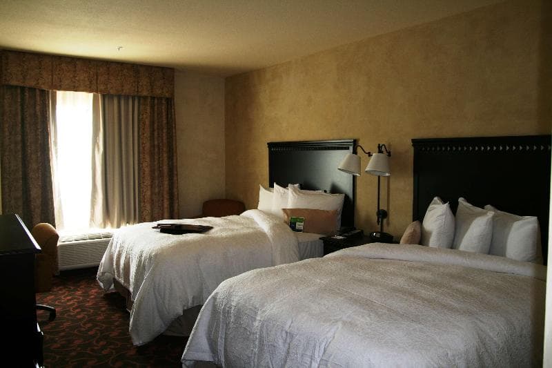 Hampton Inn & Suites Dallas-Arlington North-Entertainment Di 3